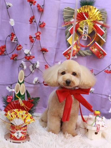 20230121もかちゃん